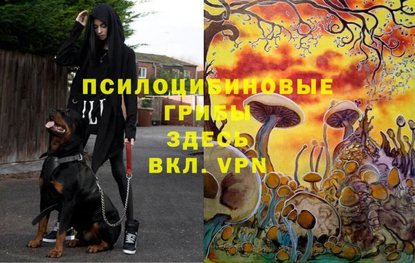 дурь Алексин