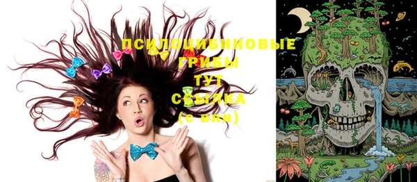 дурь Алексин